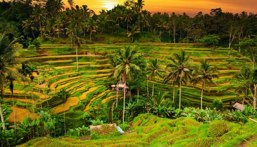 Fantastic bali - 6 Nights 7 Days