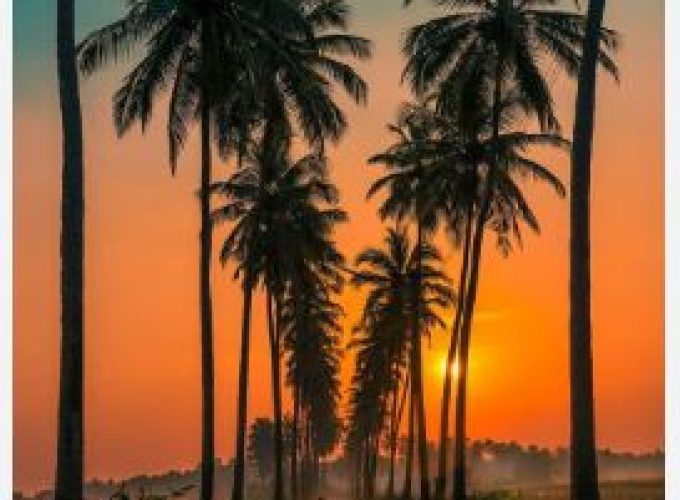 Tours that are simply fantastic