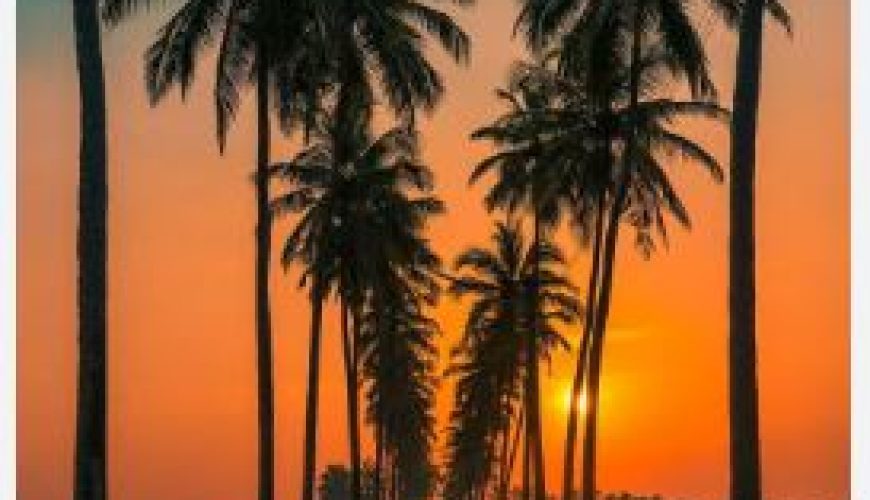 Tours that are simply fantastic