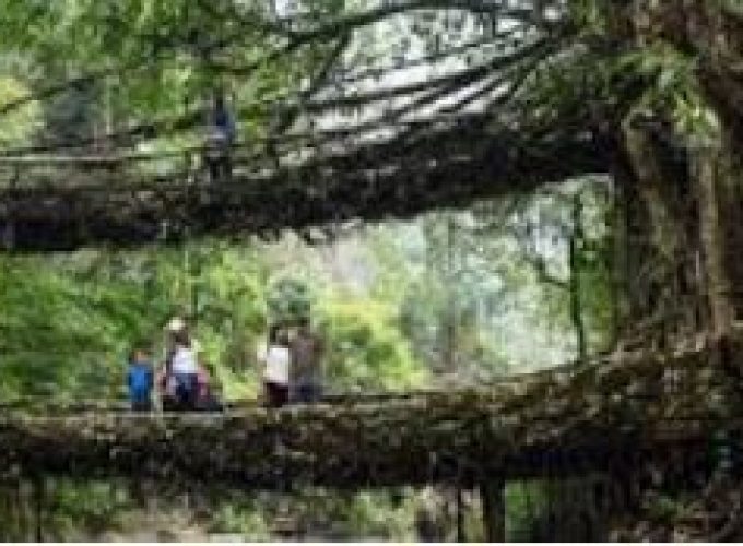 Tours that are simply fantastic