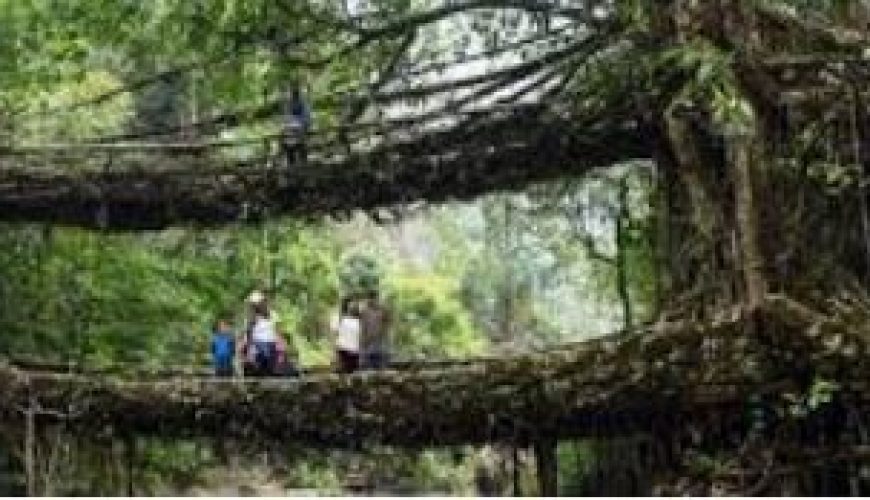 Tours that are simply fantastic