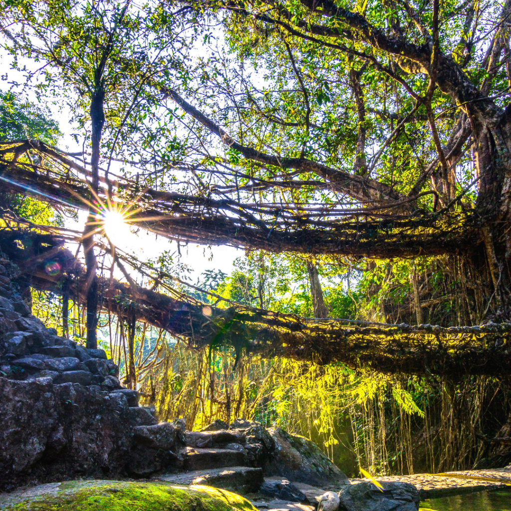 Meghalaya