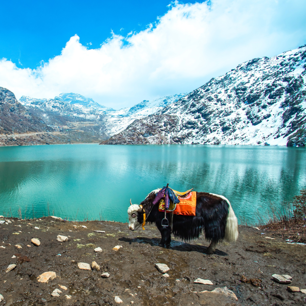 Sikkim