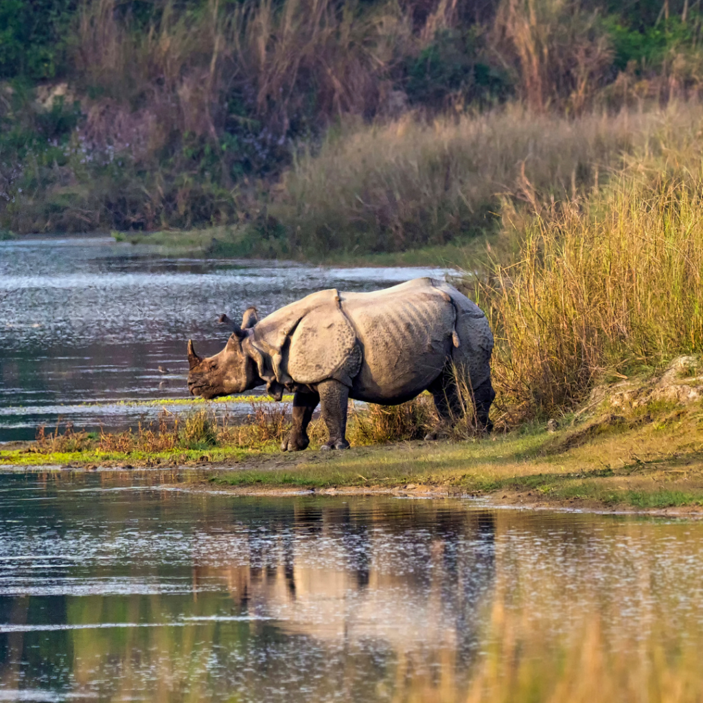 Assam