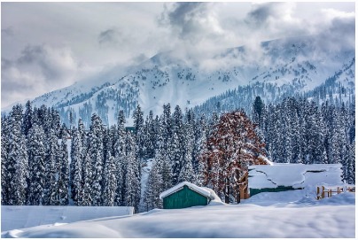 Exotic Kashmir Tour