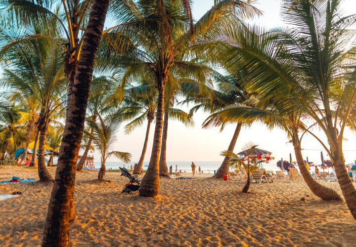 Goa Beach Escape