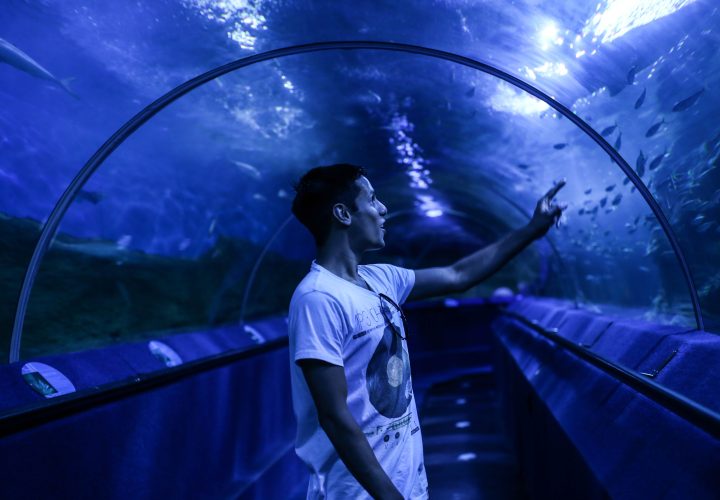 Underwater World Pattaya