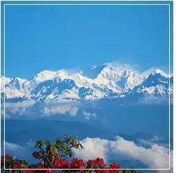 Sikkim – Darjeeling 7N & 8D